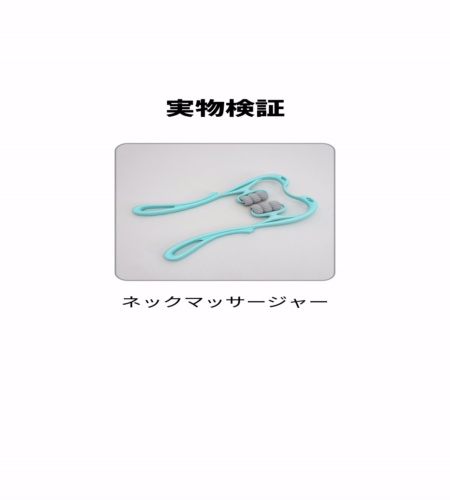 実物検証