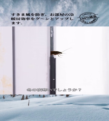 紹介動画