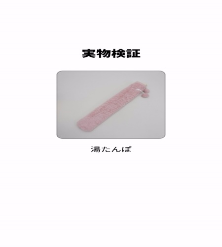 実物検証