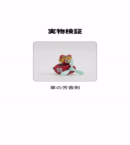 実物検証
