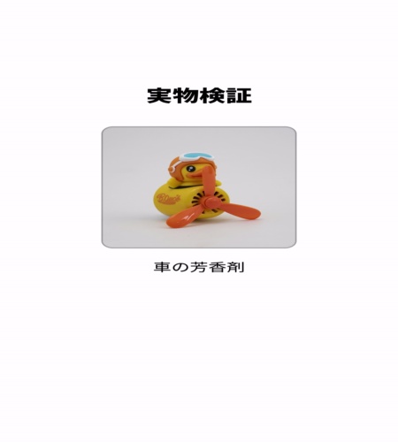 実物検証