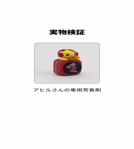 実物検証