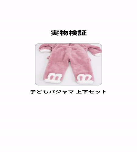 実物検証
