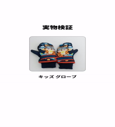 実物検証