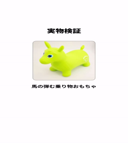 実物検証