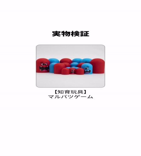 実物検証