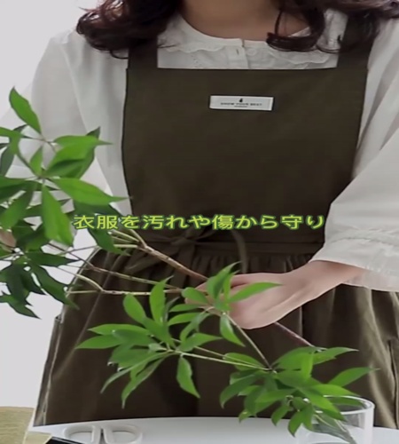 紹介動画