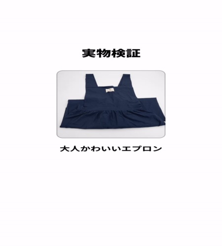実物検証