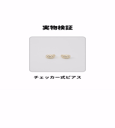 実物検証
