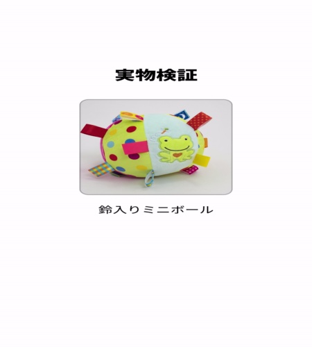 実物検証
