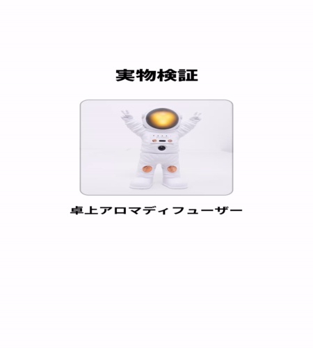 実物検証
