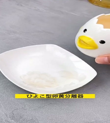 紹介動画
