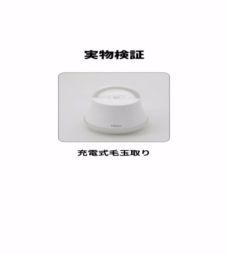 実物検証