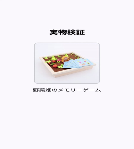 実物検証