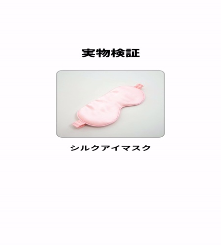 実物検証