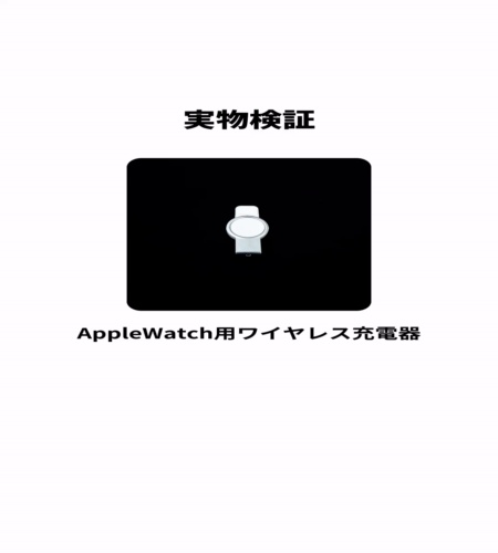 実物検証