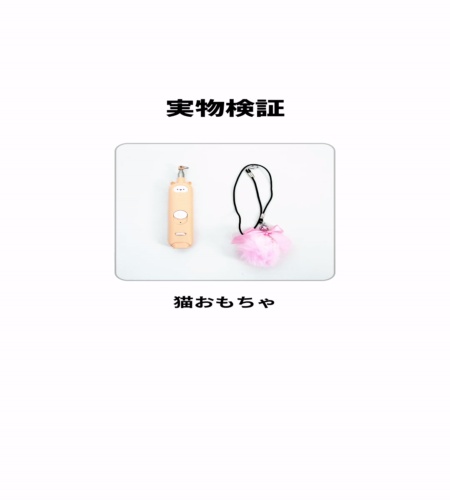 実物検証