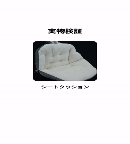 実物検証