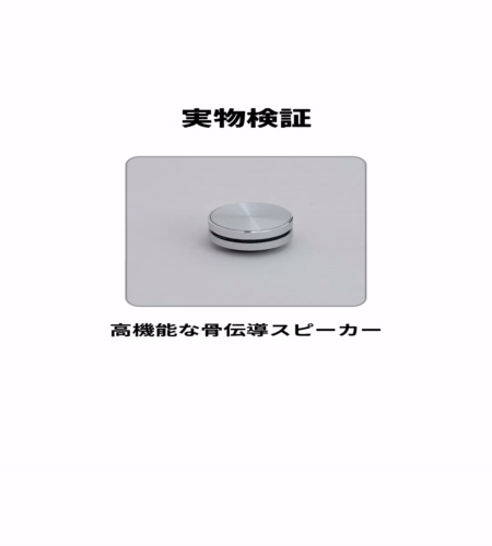 実物検証