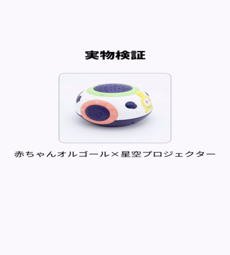 実物検証