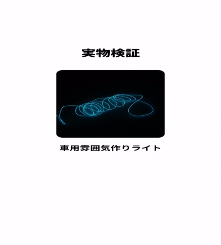 実物検証