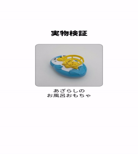 実物検証