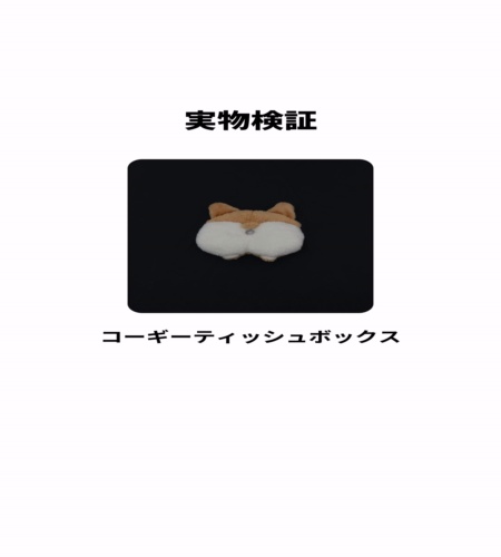 実物検証