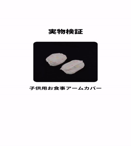 実物検証