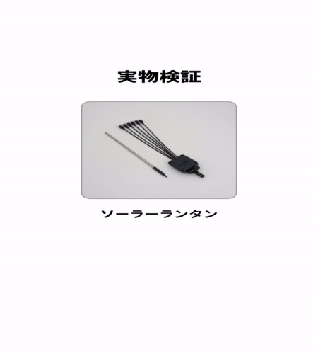実物検証