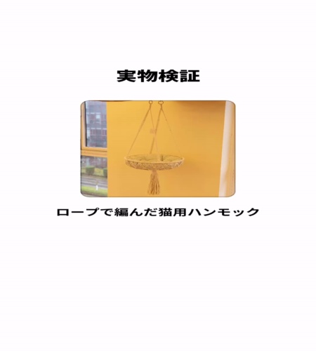 実物検証