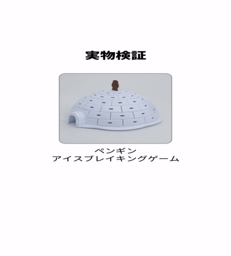 実物検証