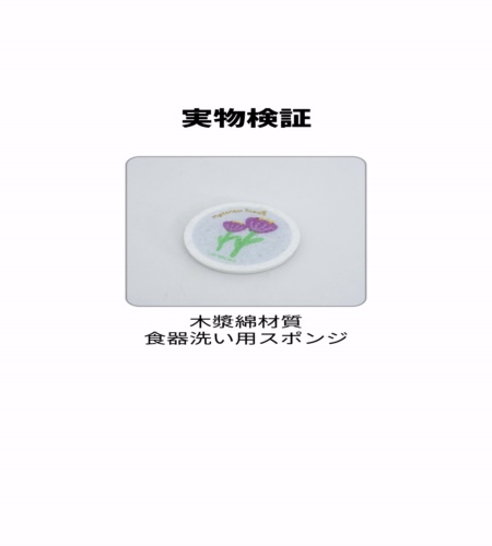 実物検証