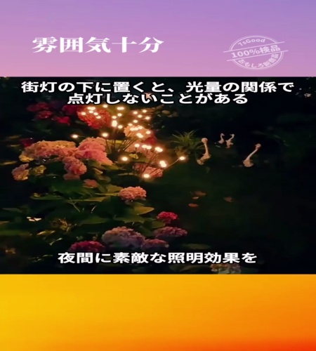 紹介動画