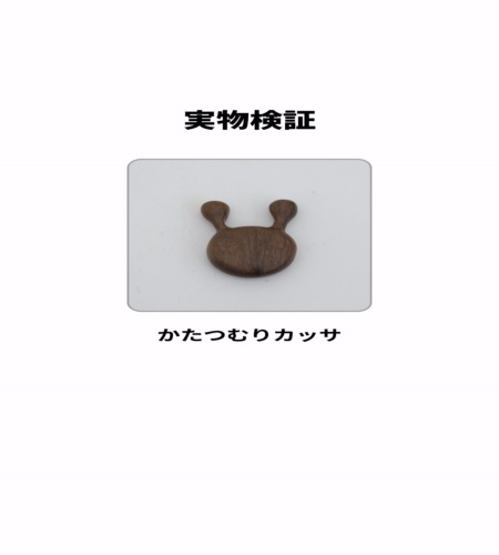 実物検証
