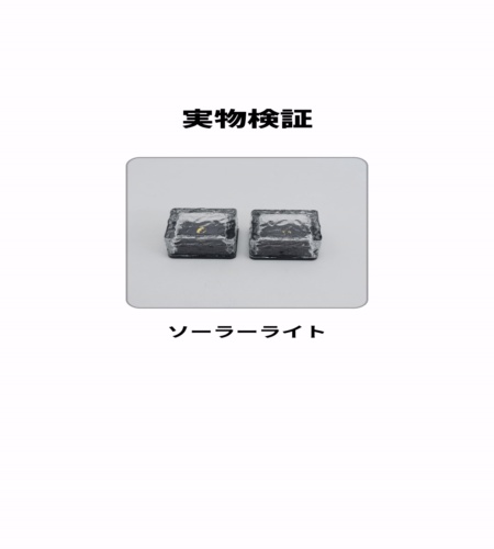 実物検証