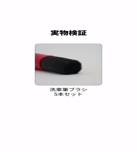 実物検証