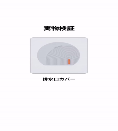 実物検証
