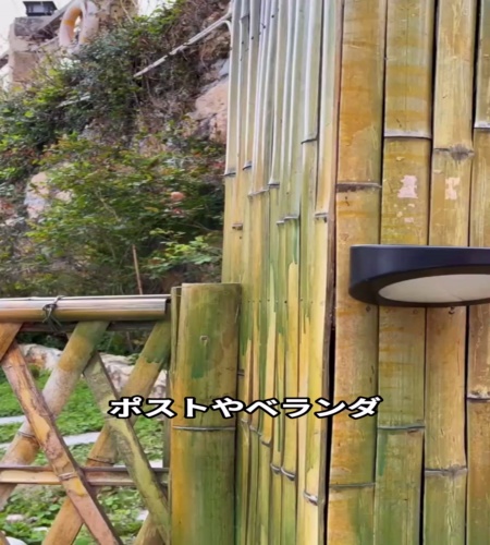 紹介動画