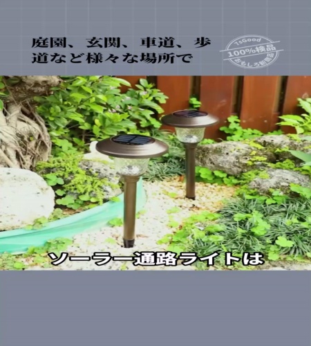 紹介動画
