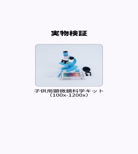 実物検証