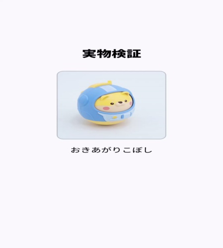 実物検証