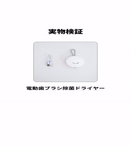 実物検証
