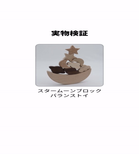 実物検証