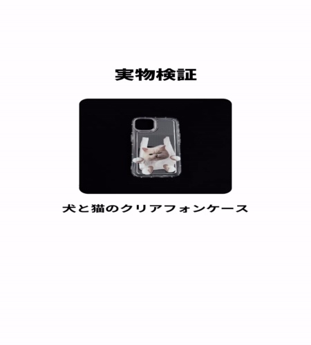 実物検証