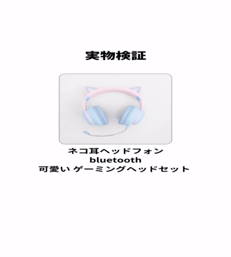 実物検証