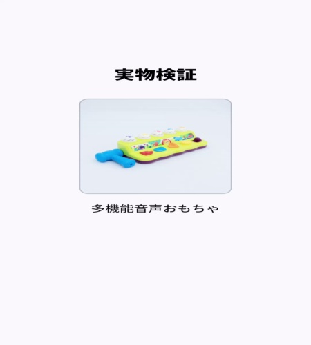 実物検証