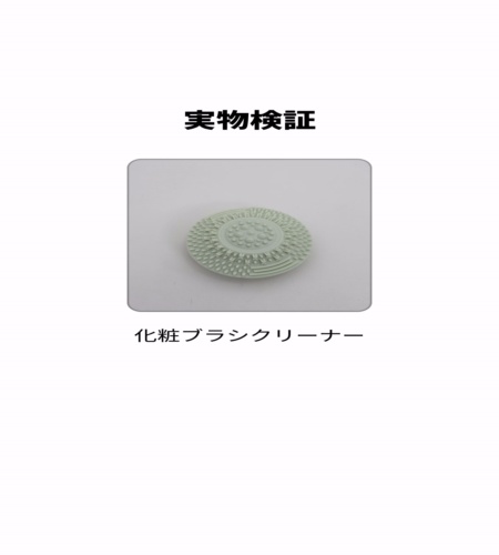 実物検証