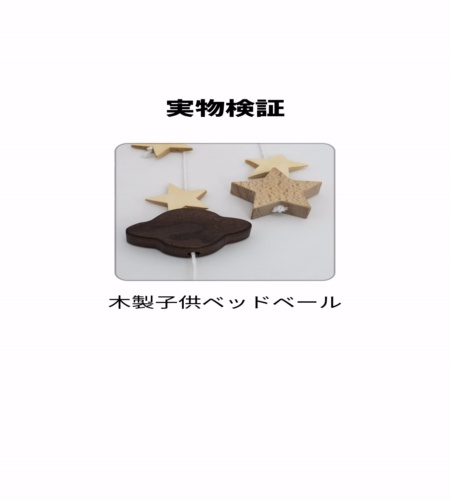 実物検証