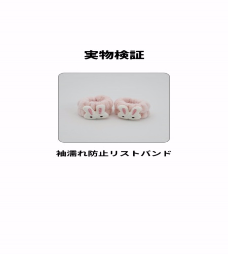 実物検証