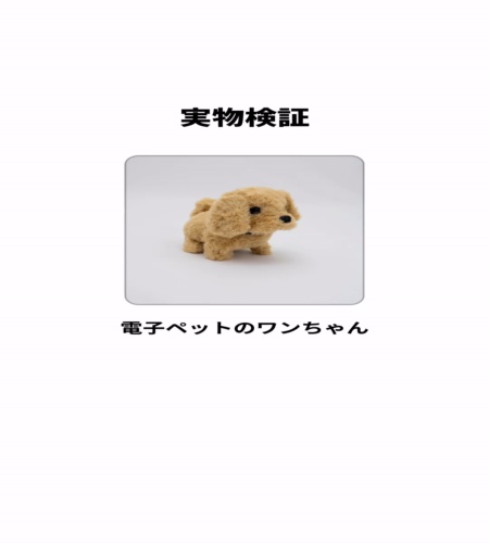 実物検証
